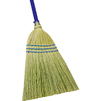 BROOM NATURAL FIBER