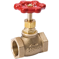 GLOBE VALVE BRASS 1/2 IPS