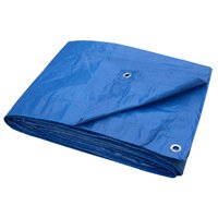 TARP BLUE PLSTC LD 6X8FT