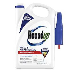 Roundup 5375504 WEED AND GRASS KILLER 1 GAL