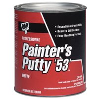 PUTTY PAINTER ALLPURP WHITE PT
