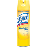 19OZ SPRAY LYSOL PRO ORG SCENT