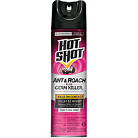 Ant & Roach Killer Aerosol Spray, 17.5 oz