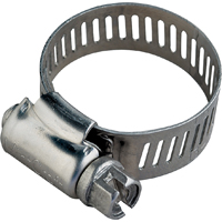HOSE CLAMP/SS SCREW NO.36 SS