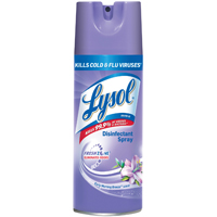 Disinfectant Cleaner Spray Early Morning Breeze Scent 12.5 oz Aerosol