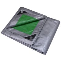 TARP HD GREEN/SILVER 20X30FT