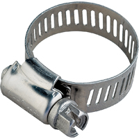 HOSE CLAMP SS/SS SCRW NO.06