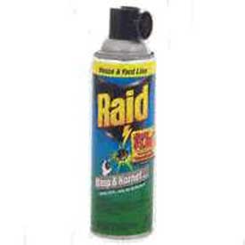Raid Wasp & Hornet Killer 33 Aerosol Spray, 14 oz