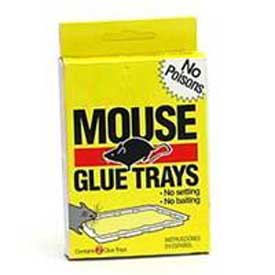 Non-Toxic Sticky Mouse Traps 4-Pack, Indoor/Outdoor Use
