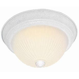 Special-Order Lighting Fixture